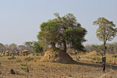 Dorf in Zambia